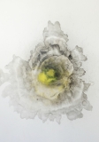 Blob