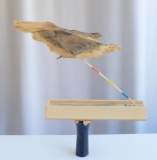 Equilibrium
